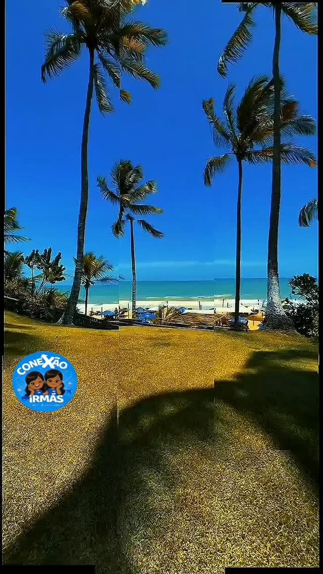 Praia com coqueiros